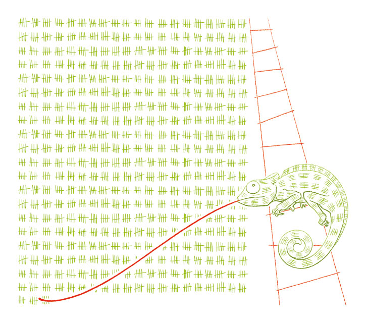 2015, caméléon, illustration
